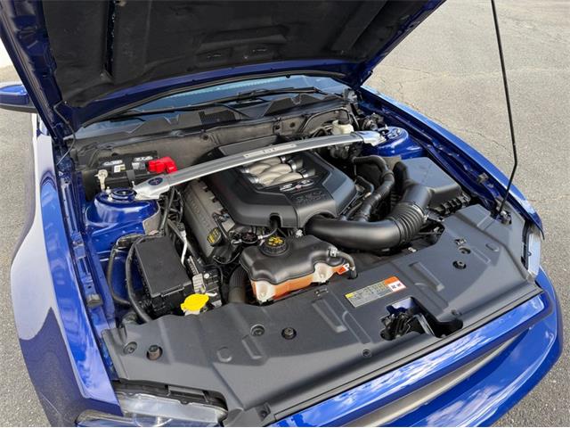2014 Ford Mustang GT (CC-2114442) for sale in Springfield, Massachusetts