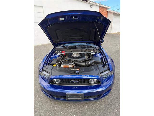 2014 Ford Mustang GT (CC-2114442) for sale in Springfield, Massachusetts