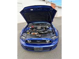 2014 Ford Mustang GT (CC-2114442) for sale in Springfield, Massachusetts