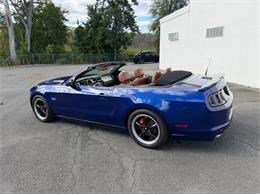 2014 Ford Mustang GT (CC-2114442) for sale in Springfield, Massachusetts