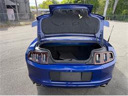 2014 Ford Mustang GT (CC-2114442) for sale in Springfield, Massachusetts