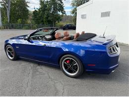 2014 Ford Mustang GT (CC-2114442) for sale in Springfield, Massachusetts