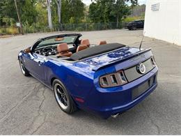 2014 Ford Mustang GT (CC-2114442) for sale in Springfield, Massachusetts