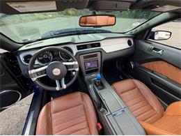2014 Ford Mustang GT (CC-2114442) for sale in Springfield, Massachusetts