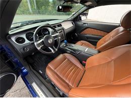 2014 Ford Mustang GT (CC-2114442) for sale in Springfield, Massachusetts