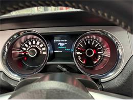 2014 Ford Mustang GT (CC-2114442) for sale in Springfield, Massachusetts