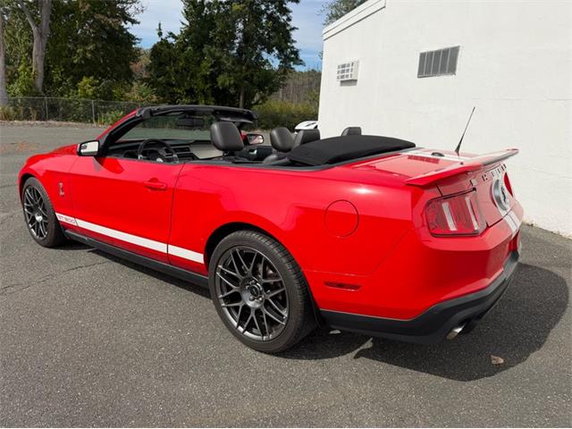 2011 Ford Shelby GT500  (CC-2114448) for sale in Springfield, Massachusetts