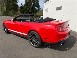 2011 Ford Shelby GT500  (CC-2114448) for sale in Springfield, Massachusetts