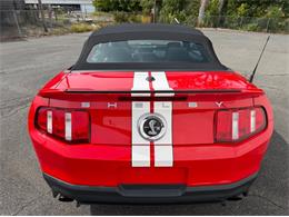 2011 Ford Shelby GT500  (CC-2114448) for sale in Springfield, Massachusetts
