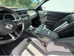 2011 Ford Shelby GT500  (CC-2114448) for sale in Springfield, Massachusetts