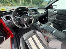 2011 Ford Shelby GT500  (CC-2114448) for sale in Springfield, Massachusetts