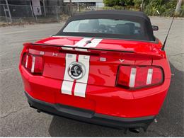 2011 Ford Shelby GT500  (CC-2114448) for sale in Springfield, Massachusetts