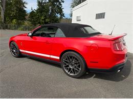 2011 Ford Shelby GT500  (CC-2114448) for sale in Springfield, Massachusetts