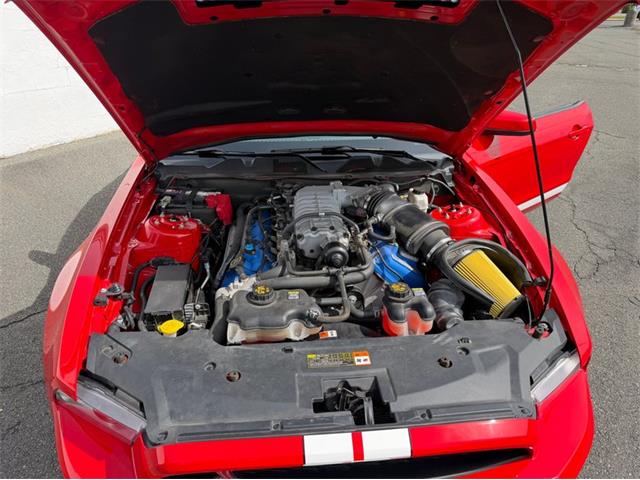 2011 Ford Shelby GT500  (CC-2114448) for sale in Springfield, Massachusetts