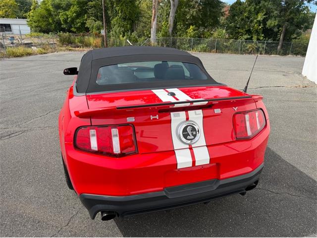 2011 Ford Shelby GT500  (CC-2114448) for sale in Springfield, Massachusetts