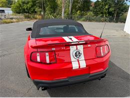 2011 Ford Shelby GT500  (CC-2114448) for sale in Springfield, Massachusetts