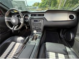 2011 Ford Shelby GT500  (CC-2114448) for sale in Springfield, Massachusetts