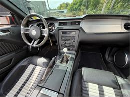 2011 Ford Shelby GT500  (CC-2114448) for sale in Springfield, Massachusetts
