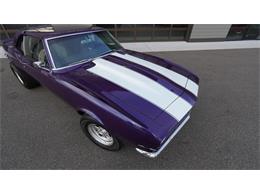 1968 Chevrolet Camaro (CC-2114483) for sale in Medina, Minnesota