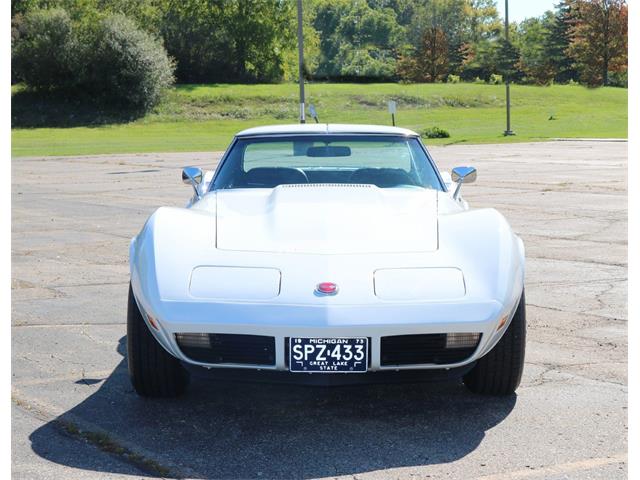 1974 Chevrolet Corvette (CC-2114494) for sale in Howell, Michigan