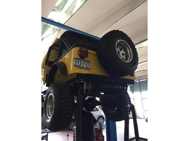 1982 Jeep CJ5 (CC-2114537) for sale in San Gemini, Umbria