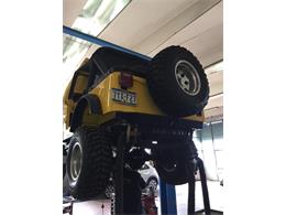1982 Jeep CJ5 (CC-2114537) for sale in San Gemini, Umbria