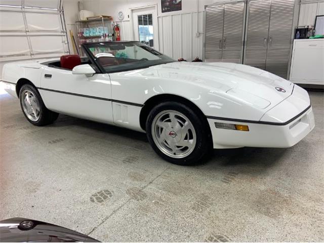 1989 Chevrolet Corvette (CC-2110455) for sale in Cadillac, Michigan