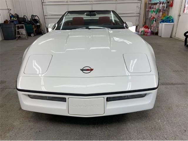 1989 Chevrolet Corvette (CC-2110455) for sale in Cadillac, Michigan