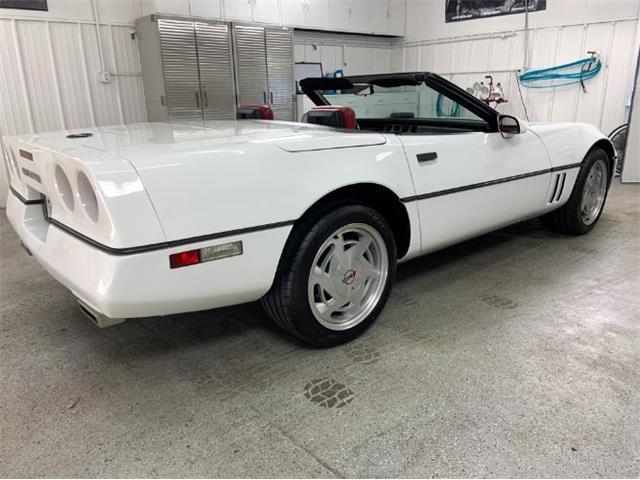 1989 Chevrolet Corvette (CC-2110455) for sale in Cadillac, Michigan