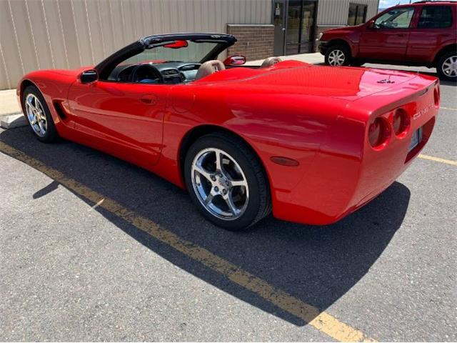 2001 Chevrolet Corvette (CC-2110460) for sale in Cadillac, Michigan