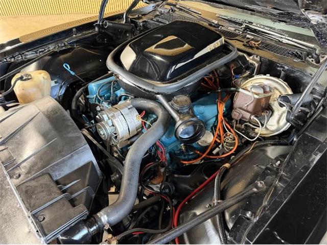 1977 Pontiac Firebird Trans Am (CC-2114620) for sale in Cadillac, Michigan