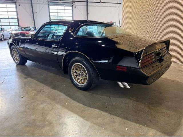1977 Pontiac Firebird Trans Am (CC-2114620) for sale in Cadillac, Michigan
