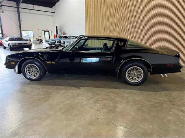 1977 Pontiac Firebird Trans Am (CC-2114620) for sale in Cadillac, Michigan