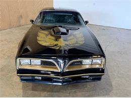 1977 Pontiac Firebird Trans Am (CC-2114620) for sale in Cadillac, Michigan
