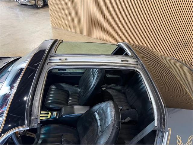 1977 Pontiac Firebird Trans Am (CC-2114620) for sale in Cadillac, Michigan