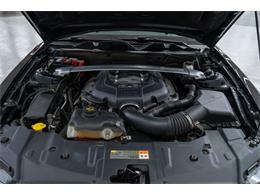 2014 Ford Mustang GT (CC-2114631) for sale in Concord, North Carolina
