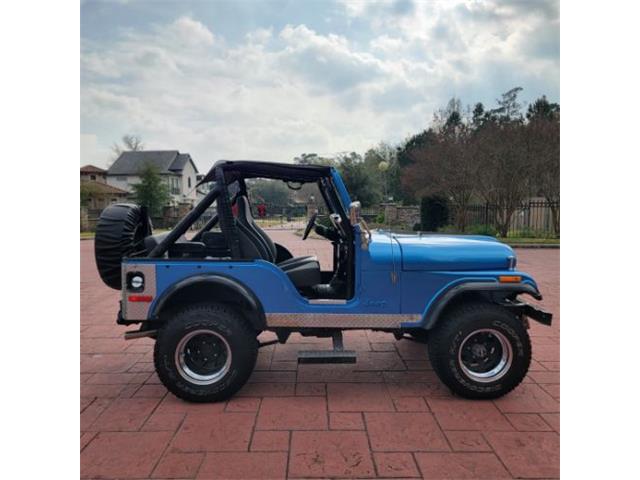 1978 Jeep CJ5 (CC-2114633) for sale in Cadillac, Michigan