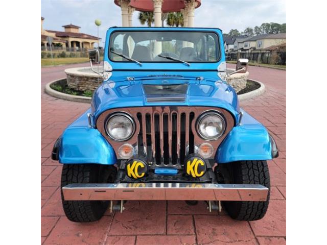 1978 Jeep CJ5 (CC-2114633) for sale in Cadillac, Michigan