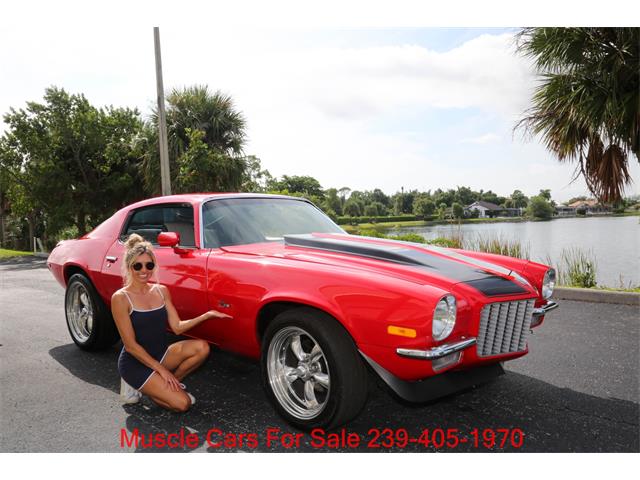 1973 Chevrolet Camaro (CC-2114697) for sale in Fort Myers, Florida