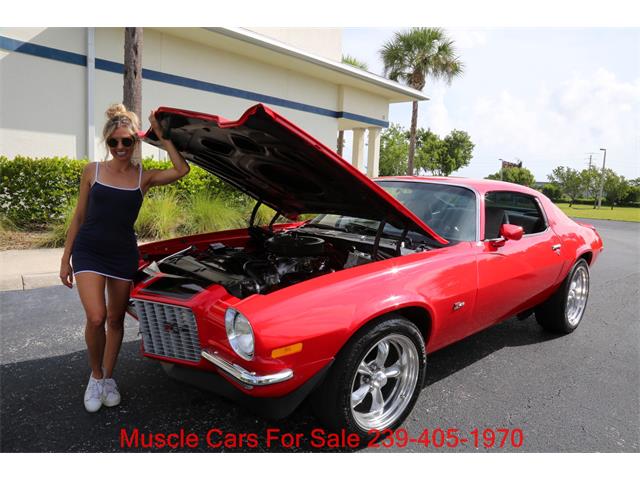 1973 Chevrolet Camaro (CC-2114697) for sale in Fort Myers, Florida