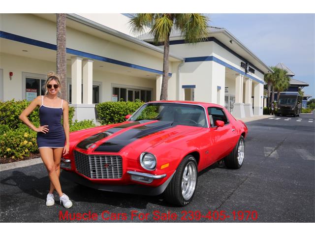 1973 Chevrolet Camaro (CC-2114697) for sale in Fort Myers, Florida
