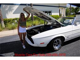 1973 Ford Mustang (CC-2114703) for sale in Fort Myers, Florida