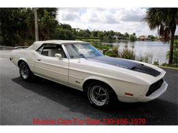 1973 Ford Mustang (CC-2114703) for sale in Fort Myers, Florida