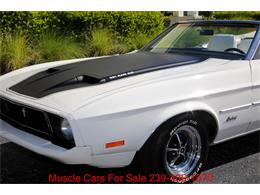 1973 Ford Mustang (CC-2114703) for sale in Fort Myers, Florida