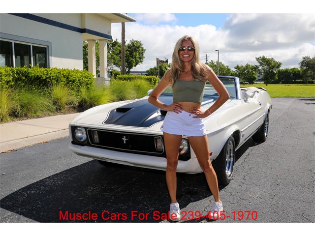 1973 Ford Mustang (CC-2114703) for sale in Fort Myers, Florida