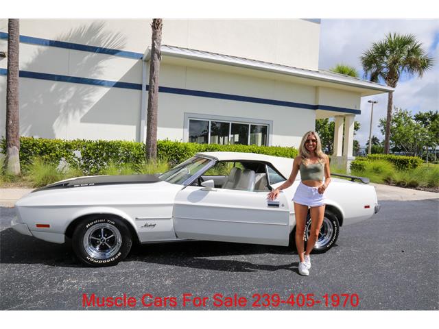 1973 Ford Mustang (CC-2114703) for sale in Fort Myers, Florida