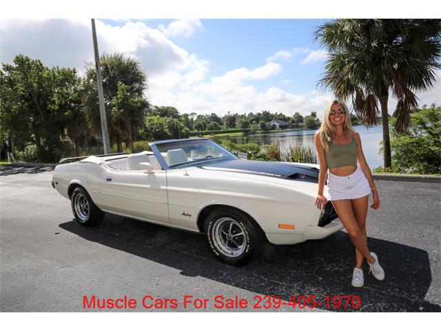 1973 Ford Mustang (CC-2114703) for sale in Fort Myers, Florida