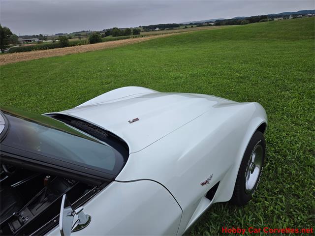 1977 Chevrolet Corvette (CC-2114768) for sale in MARTINSBURG, Pennsylvania