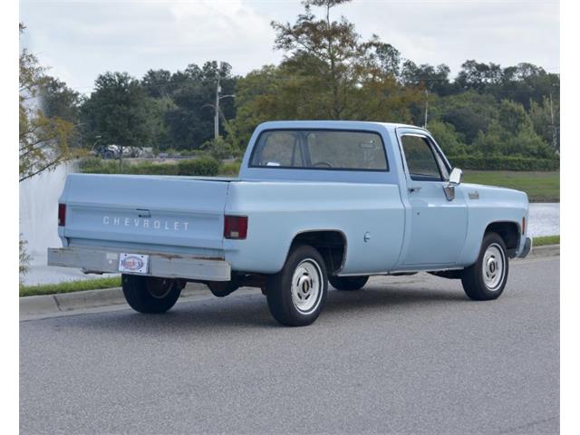 1976 Chevrolet C10 (CC-2114778) for sale in Hobart, Indiana