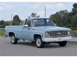 1976 Chevrolet C10 (CC-2114778) for sale in Hobart, Indiana